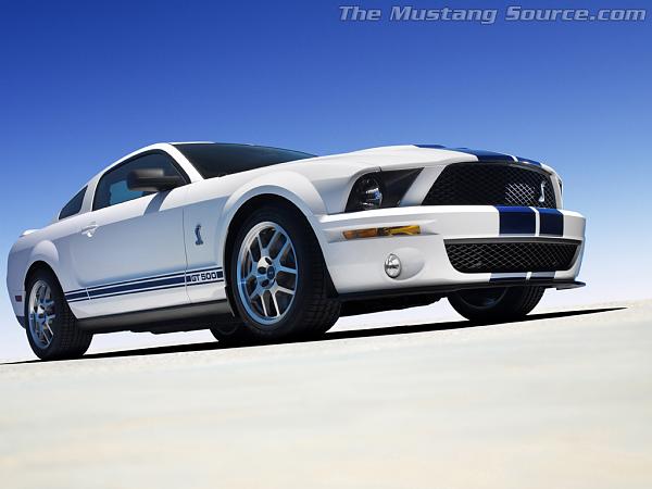 Shinoda Boss or Shelby look?-0614-2.jpg
