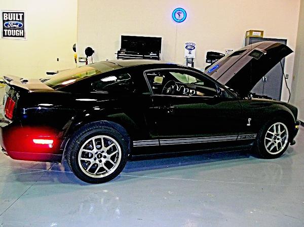 Questions regarding GT500 GT/CS Rear Bumper-1144780379378_shelbygt500_black3-1-.jpg
