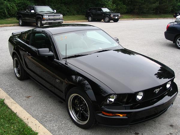 Antenna Replacements-wstubbie.jpg