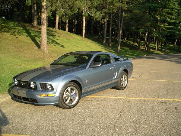 Official Stripes Thread: Photos &amp; Spreadsheet-imgp2352.jpg