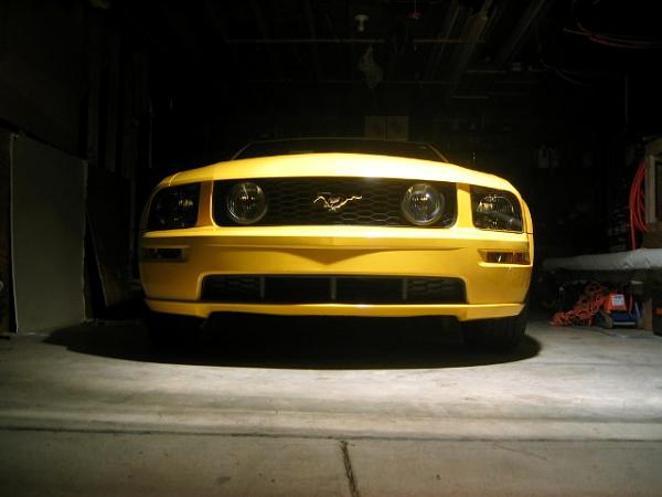 Anyone with Painted GT Lower Grill-img_0101.jpg