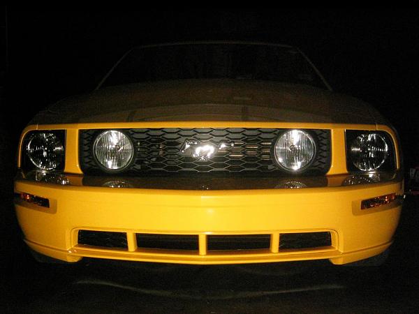 Anyone with Painted GT Lower Grill-img_0065-large-.jpg