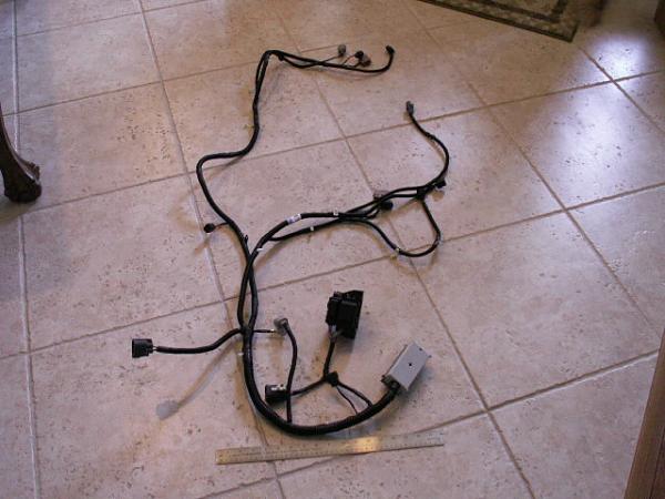 Shelby GT500 parts arriving-wiring-harness-006.jpg