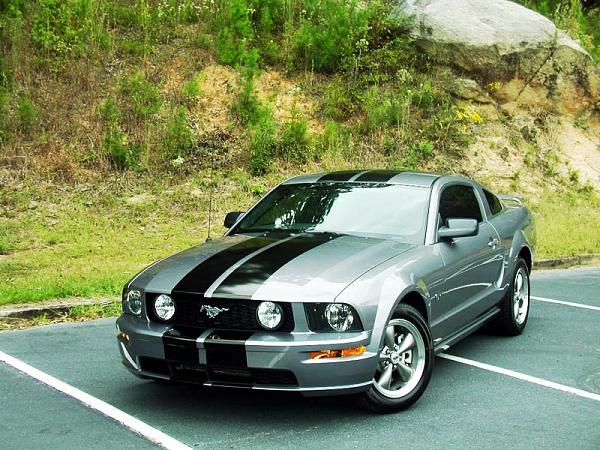 atlanta area stripe application-scenic.jpg