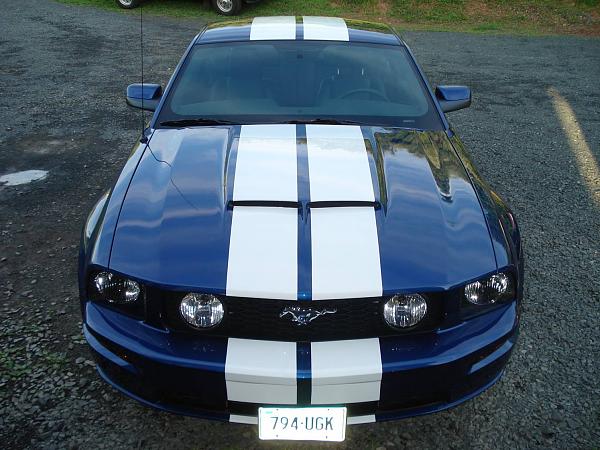 Question For The Stripe Folks?-front-high.jpg