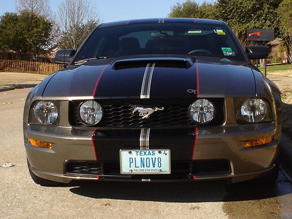 Hood Scoops....Let's See Em!! (Post Pics)-mustang-003.jpg