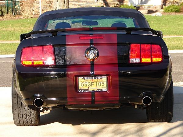 Question For The Stripe Folks?-back.jpg