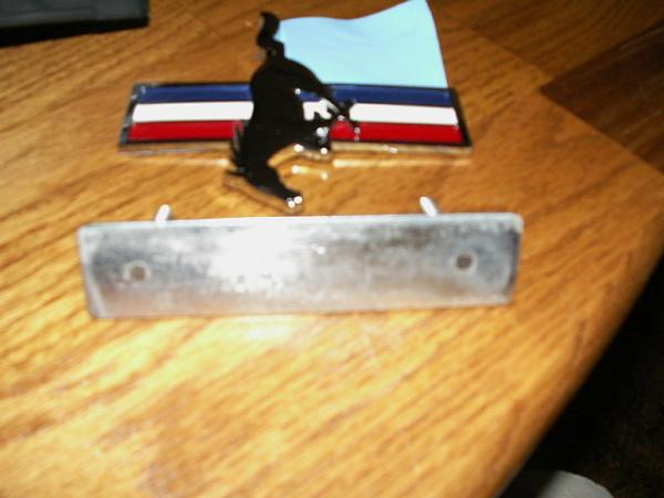 Shelby front end install begins    PICS-emblem-004.jpg