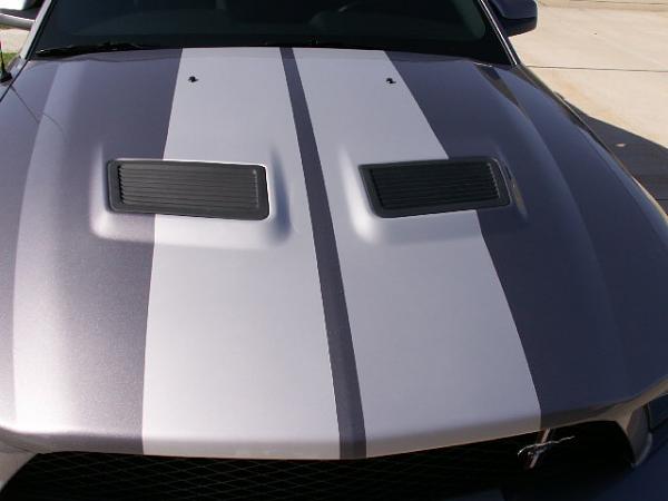 Official Stripes Thread: Photos &amp; Spreadsheet-06gtpics-008.jpg