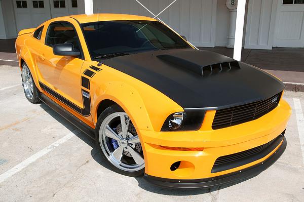 GTR style Body Kit-frontstripesqp0.jpg