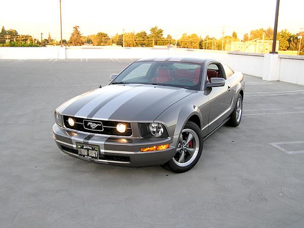 Official Stripes Thread: Photos &amp; Spreadsheet-jays_pony-02.jpg