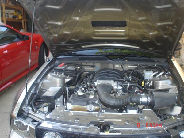 New hood scoop installed-dsc03208.jpg