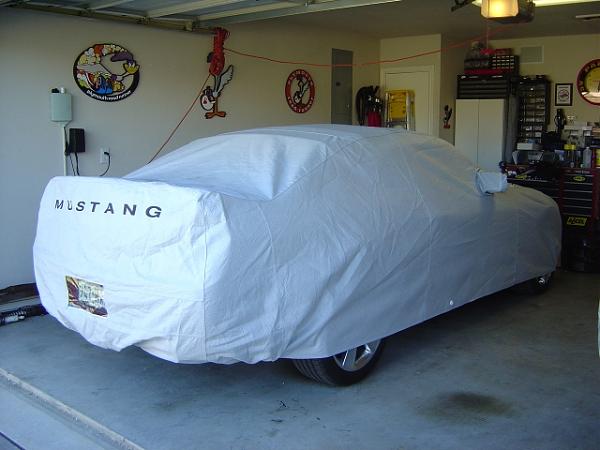 My 0 Ebay Ford OEM Cover - Pics-1001.jpg