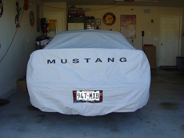 My 0 Ebay Ford OEM Cover - Pics-1002.jpg