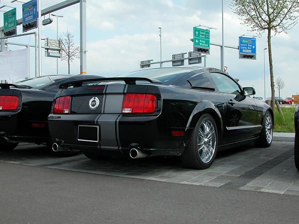 Official Stripes Thread: Photos &amp; Spreadsheet-black-gt-one-stripe-back.jpg