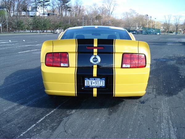 Ducktail for those with a Spoiler - Poll-rear.jpg