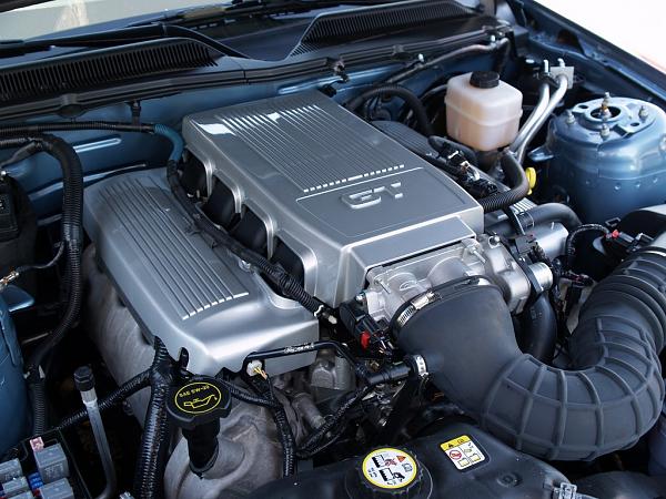 Midwest Auto Gear Fuel Rail Covers-p8151909.jpg