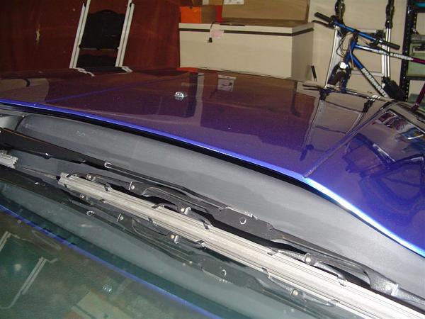 cali dream hood-dsc03324-large-.jpg