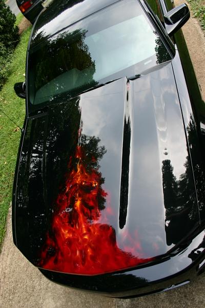 Its finally ON!...the flamed steeda hood-img_1062.jpg