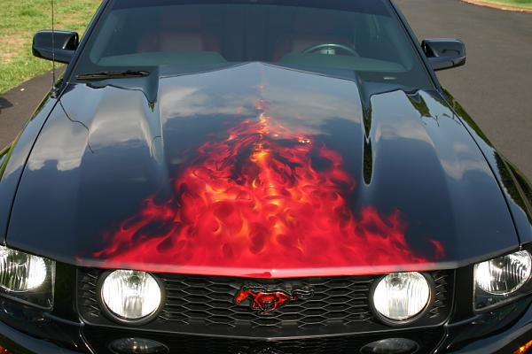 Its finally ON!...the flamed steeda hood-img_1071.jpg