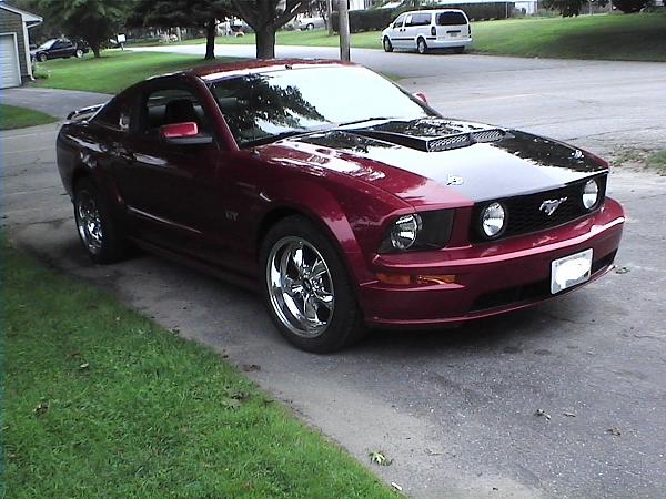 Hood Scoops....Let's See Em!! (Post Pics)-mustang-008.jpg