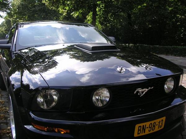 Hood PINS-picture-042.jpg