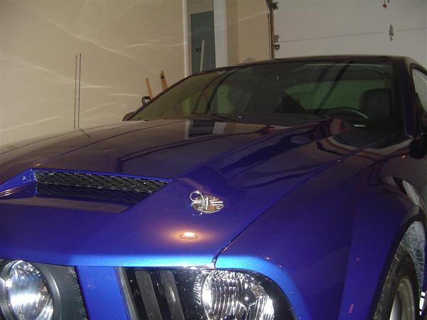 Hood PINS-dsc03326-large-.jpg