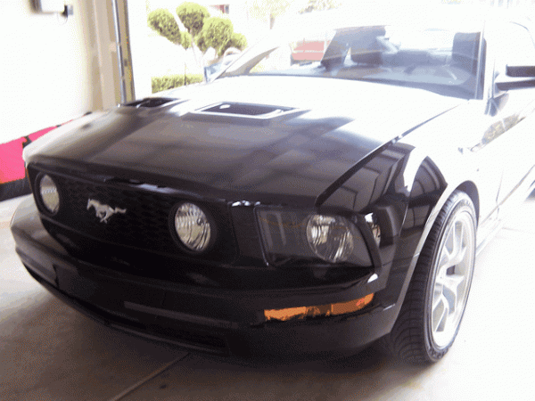 And Yet another... Shelby Gt500 conversion!-image00001.gif