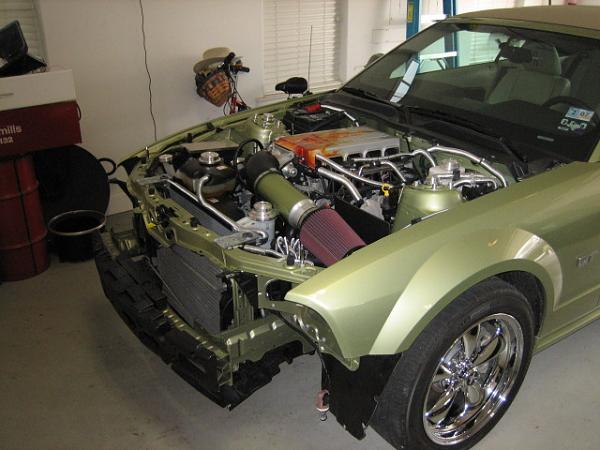 And Yet another... Shelby Gt500 conversion!-legend-lime-l-003.jpg