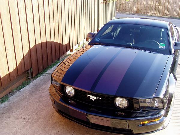 Official Stripes Thread: Photos &amp; Spreadsheet-new-color-010a.jpg