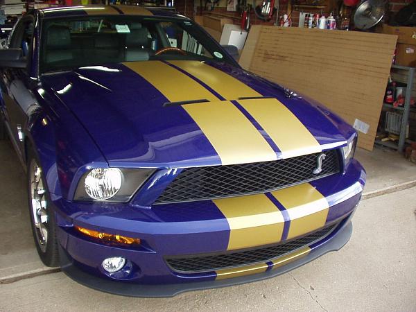 This is what I'm thinking - Opinions-shelby-gt500-cs6.jpg
