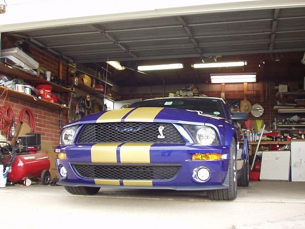 This is what I'm thinking - Opinions-shelby-gt500-cs6-ii.jpg