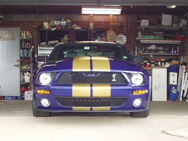 This is what I'm thinking - Opinions-shelby-gt500-cs6-iii.jpg