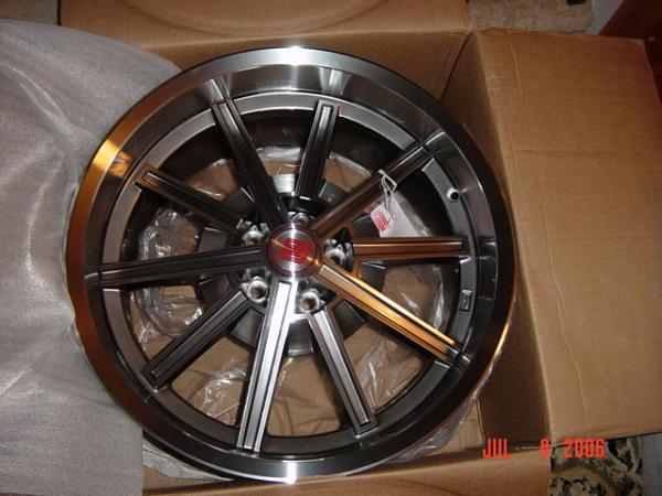 new shelby wheels installed-dsc03943.jpg