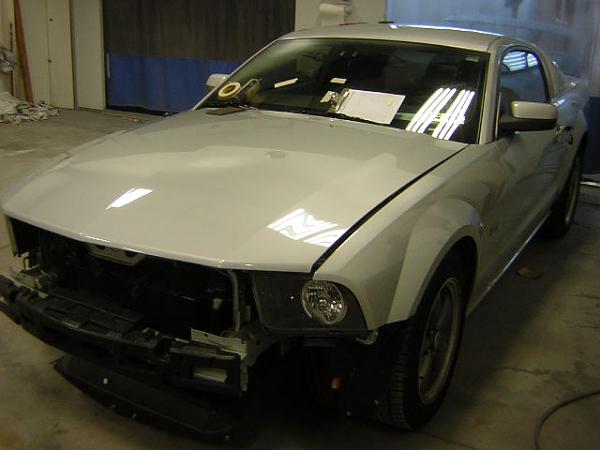 Fryguys Painted Stripes-day-2-dscn3728.jpg