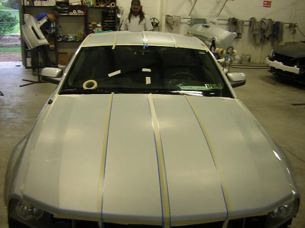 Fryguys Painted Stripes-day-3-dscn3765.jpg