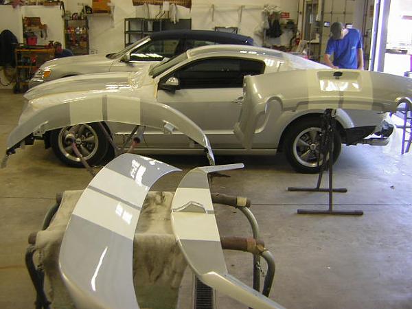 Fryguys Painted Stripes-day-5-dscn3844.jpg