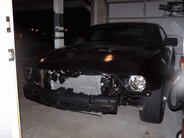 And Yet another... Shelby Gt500 conversion!-image00001.gif