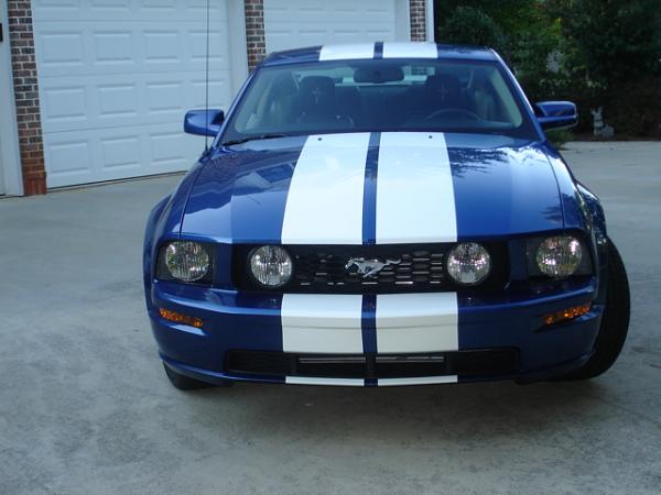 Official Stripes Thread: Photos &amp; Spreadsheet-dsc00920.jpg