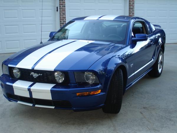 Official Stripes Thread: Photos &amp; Spreadsheet-dsc00919.jpg