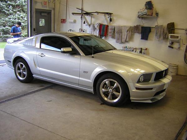 Fryguys Painted Stripes-day-6-dscn6930.jpg