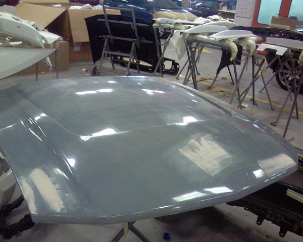 Show us your aftermarket hoods (cs6, cervini, ect)-sp_a0073.jpg