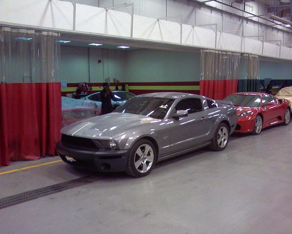 GT500 conversion question (rocker panel color)-sp_a0094.jpg