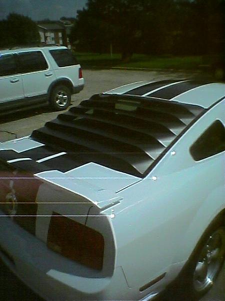 pic of your rear window louvers please-angle.jpg