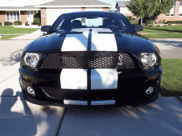 And Yet another... Shelby Gt500 conversion!-image00001.gif