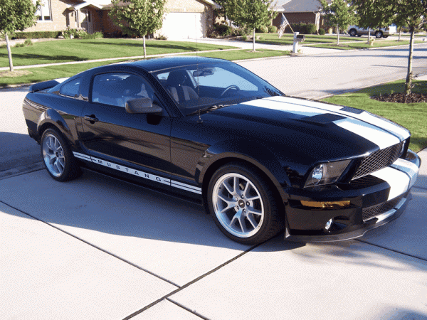 And Yet another... Shelby Gt500 conversion!-image00002.gif