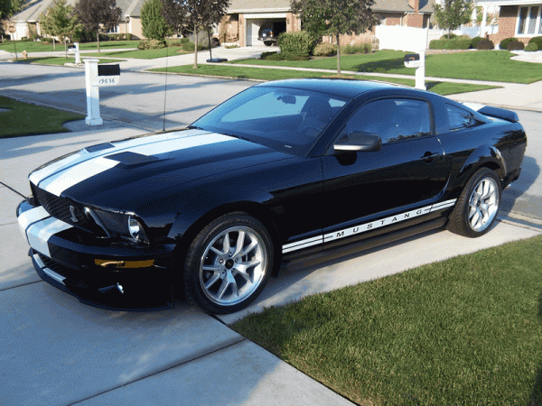 And Yet another... Shelby Gt500 conversion!-image00003.gif