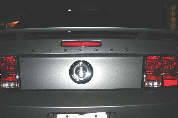 Fender and trunkletters added-copy-img_2054.jpg