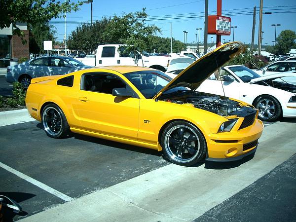 05stangkc Customers GT-500 &amp; Gt/CS FINAL Conversion PICS! PLEASE POST HERE!-picture-513.jpg