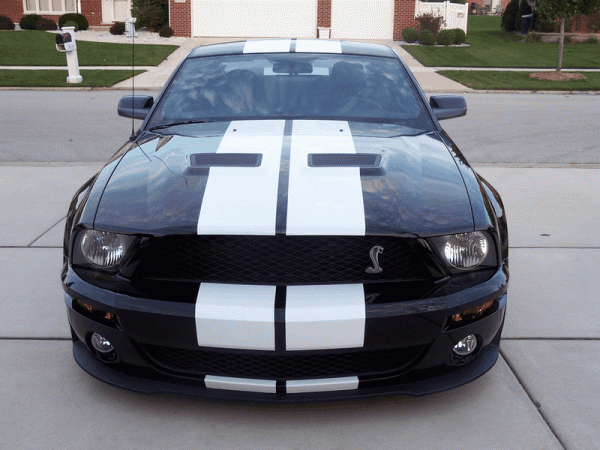 05stangkc Customers GT-500 &amp; Gt/CS FINAL Conversion PICS! PLEASE POST HERE!-image00007.gif